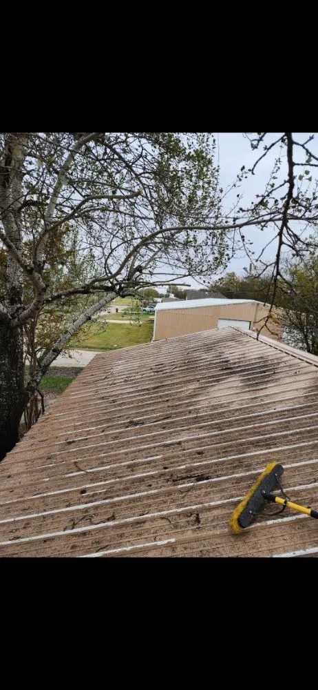 Local lawn care service in Celeste, TX - Junk Monkey