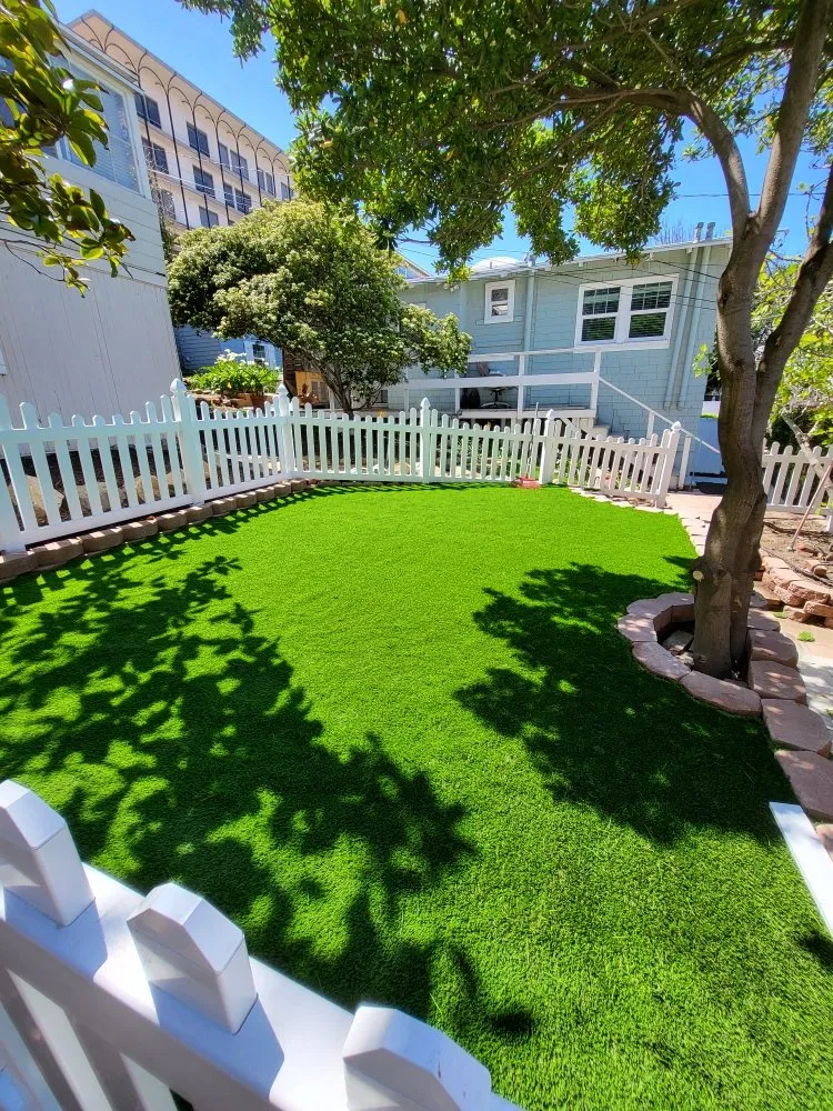 Top-rated lawn care service for beautiful yards across San Diego, CA - Junk N Haul