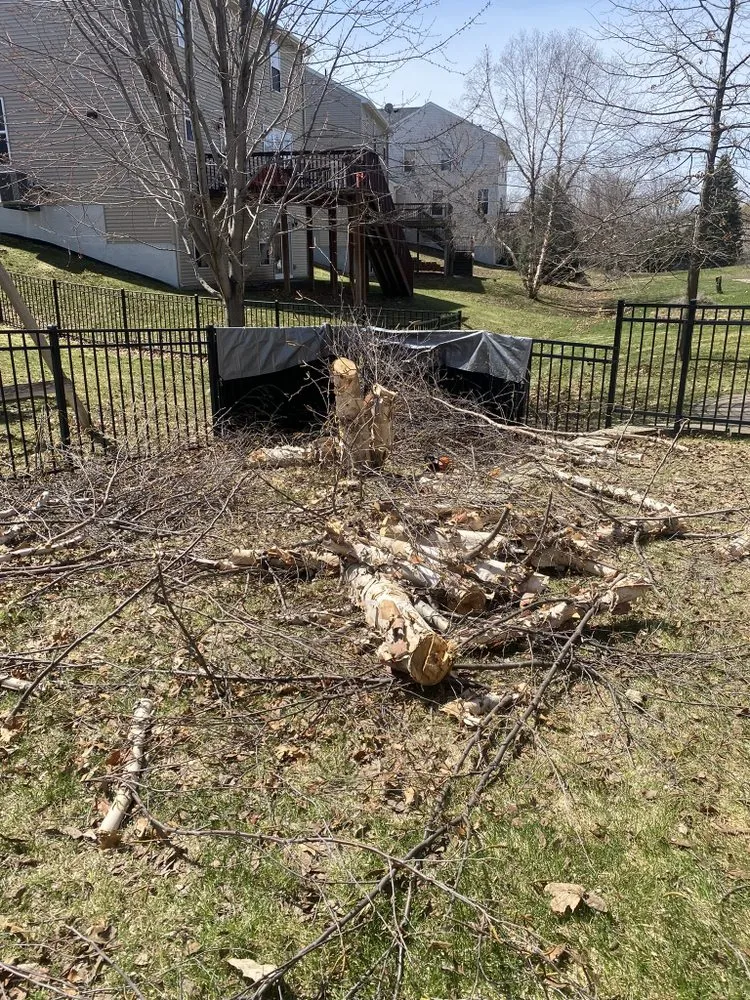 Reliable residential landscaping experts serving Saint Paul, MN - Junk Of All Trades