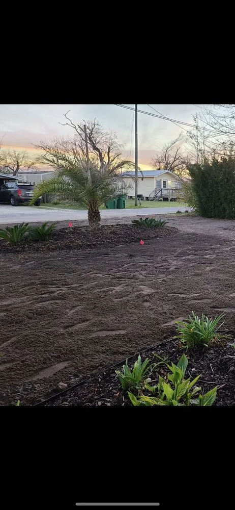 Trusted lawn care service for beautiful yards across Panama City, FL - Junk Removal & Landscaping