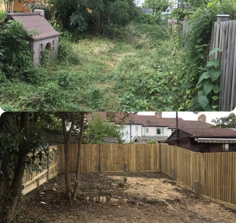 Top-rated yard maintenance experts serving McDonough, GA - Junk Removal Asap