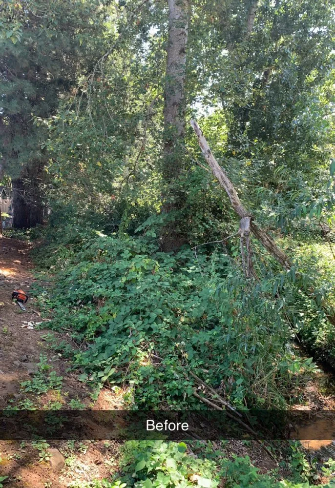 Affordable outdoor landscaping experts serving Portland, OR - Junk Removal Hauling Services