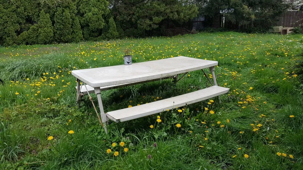 Expert landscape design in Portland, OR by Junk Removal Hauling Services