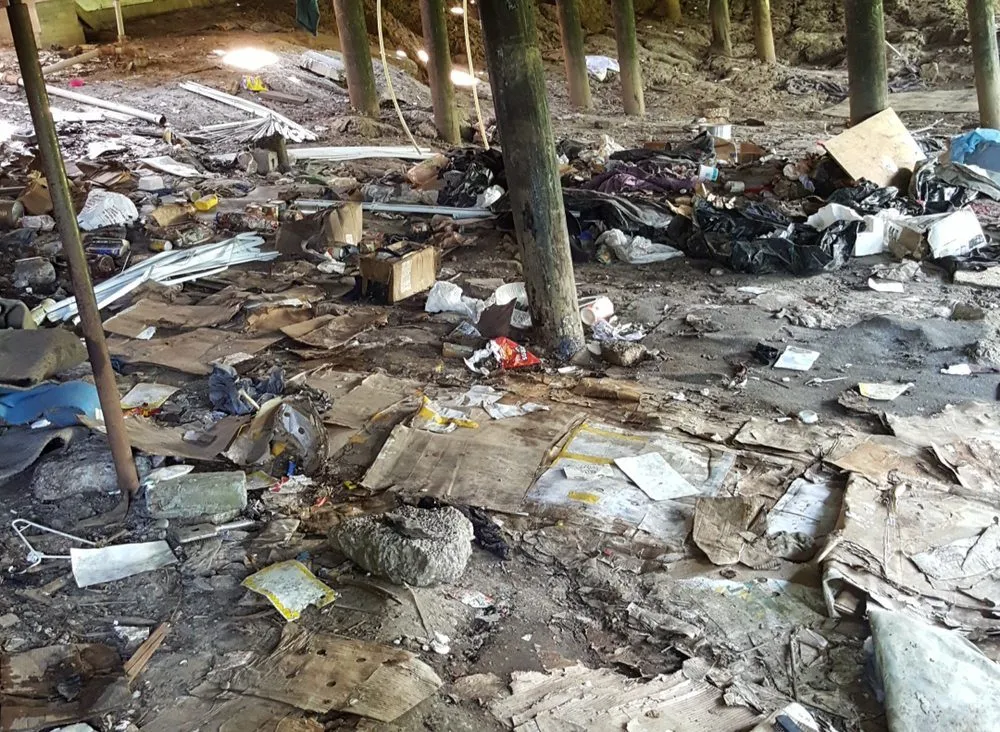 Affordable yard cleanup service for year-round maintenance in Portland, OR by Junk Removal Hauling Services