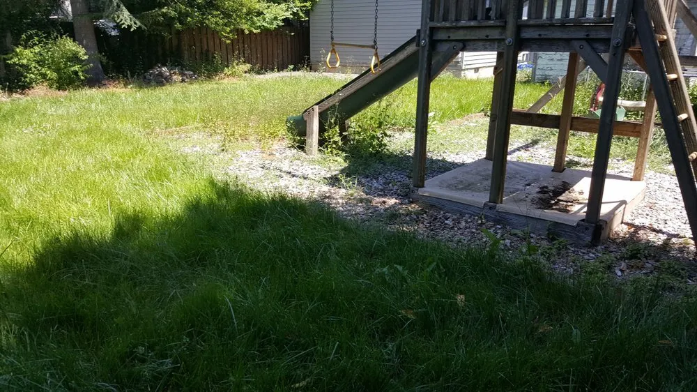 Professional landscape design for year-round maintenance across Portland, OR - Junk Removal Hauling Services