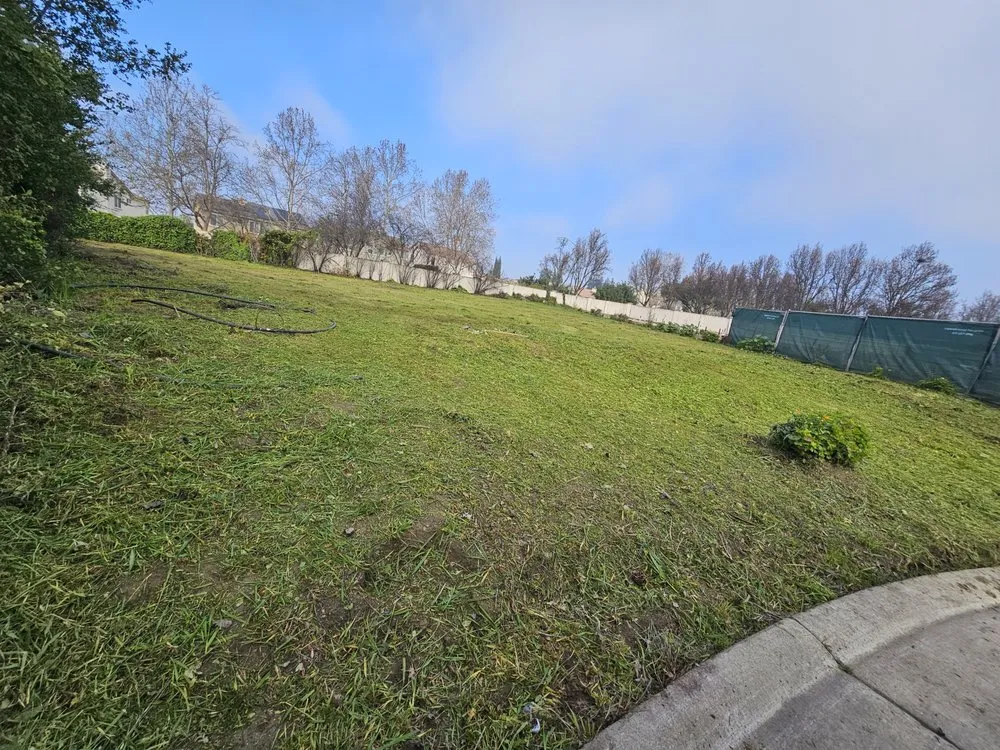 Reliable garden landscaping for residential properties across Stockton, CA - Junk Removal Solutions