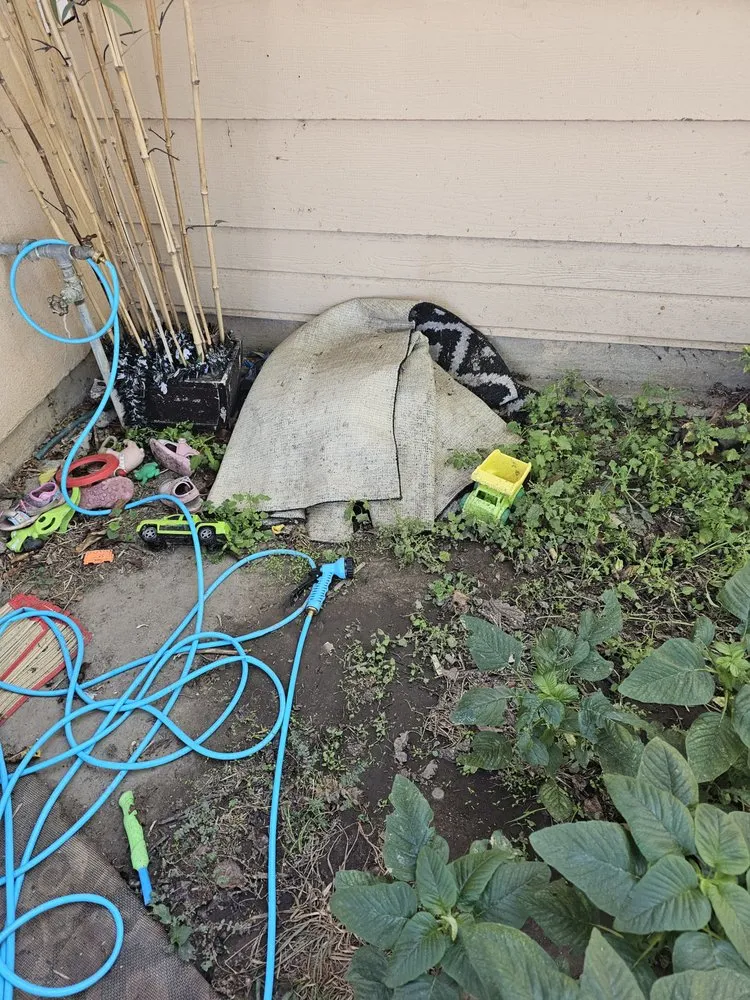 Trusted landscaping services for year-round maintenance across Stockton, CA - Junk Removal Solutions