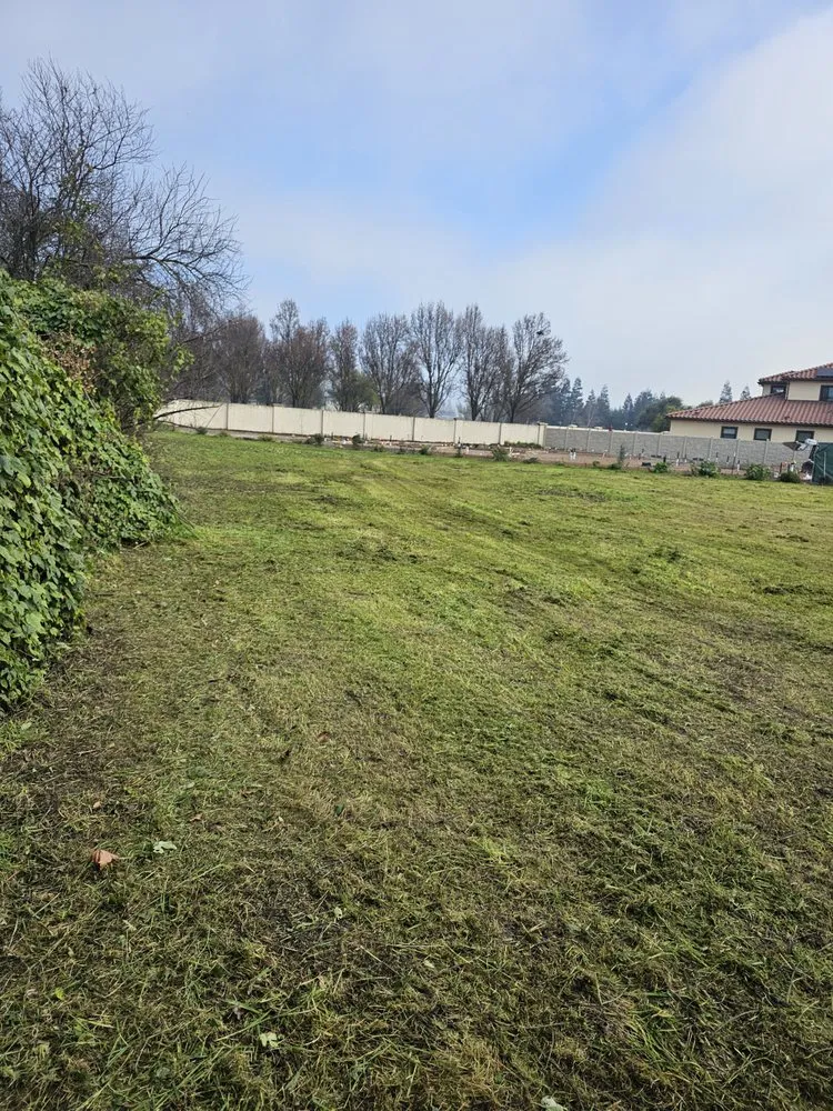 Professional landscaping services experts serving Stockton, CA - Junk Removal Solutions