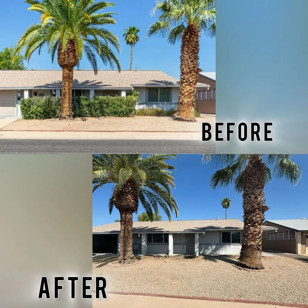 Reliable landscape design near you across Phoenix, AZ - Junked AZ