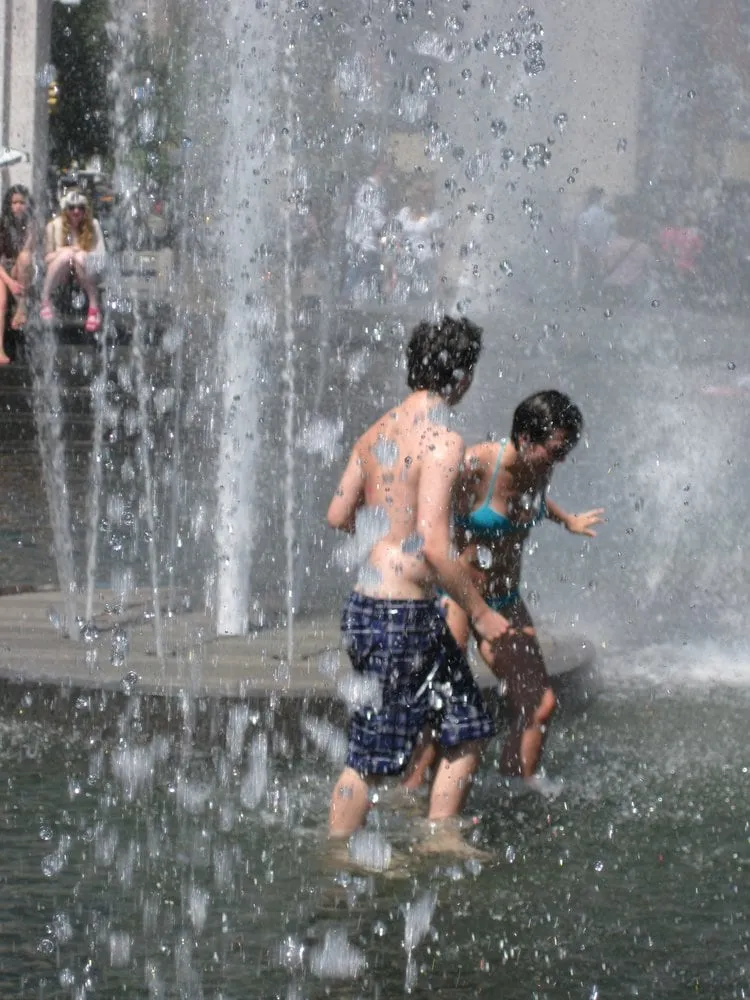 Top-rated landscape installation in Sun City West, AZ by Junkfree Landscaping