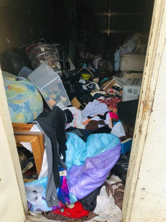 Affordable outdoor landscaping in San Diego, CA - JunkGods