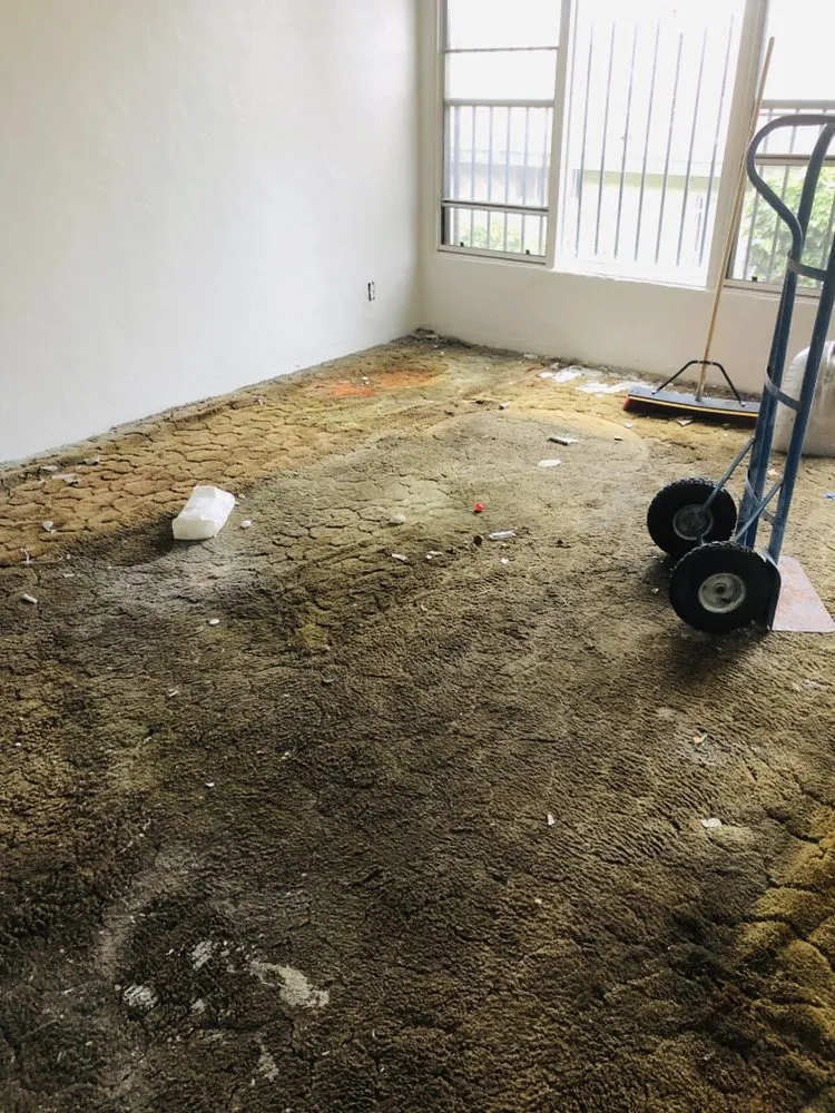 Top-rated yard maintenance in San Diego, CA - JunkGods