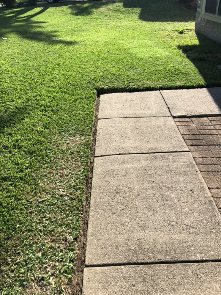 Reliable landscape design experts serving Irving, TX - Junkier landscaping