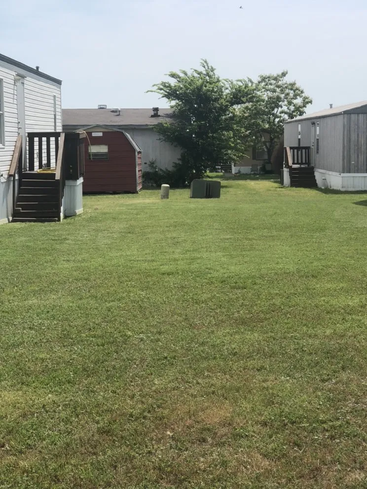 Trusted yard cleanup service in Irving, TX - Junkier landscaping