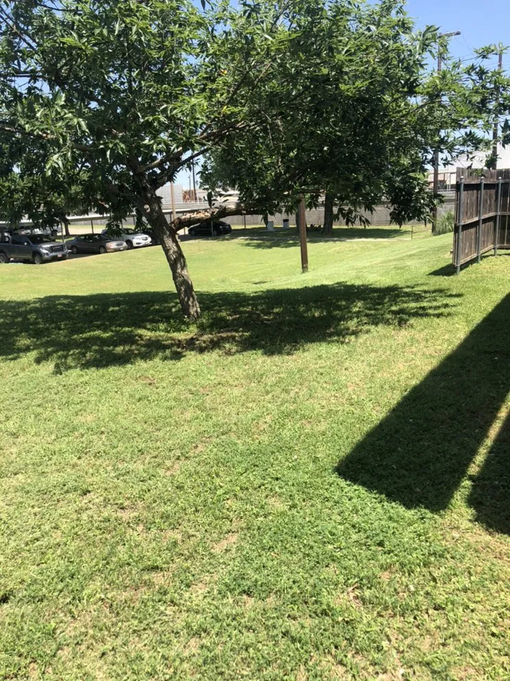 Trusted residential landscaping for outdoor upgrades in Irving, TX by Junkier landscaping