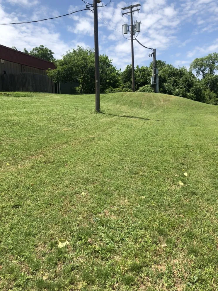 Local yard cleanup service in Irving, TX by Junkier landscaping