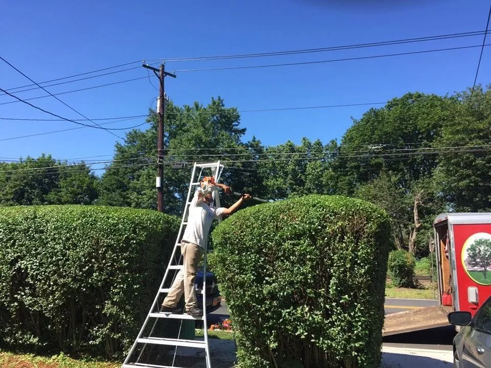 Reliable outdoor landscaping experts serving Fair Lawn, NJ - Junkin’ Around