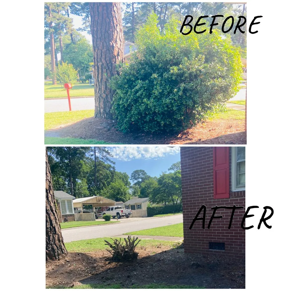 Top-rated landscape installation experts serving Rocky Mount, NC - Junkyard Jr’s