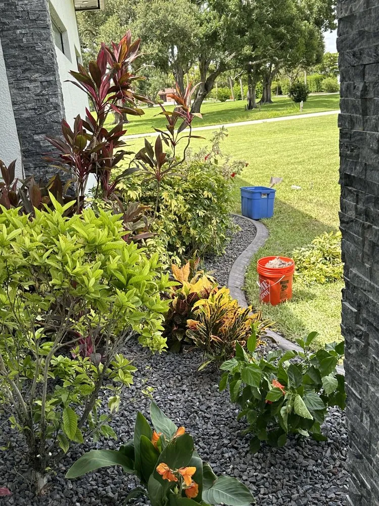 Local landscaping services experts serving Fort Myers, FL - Juno Landscaping