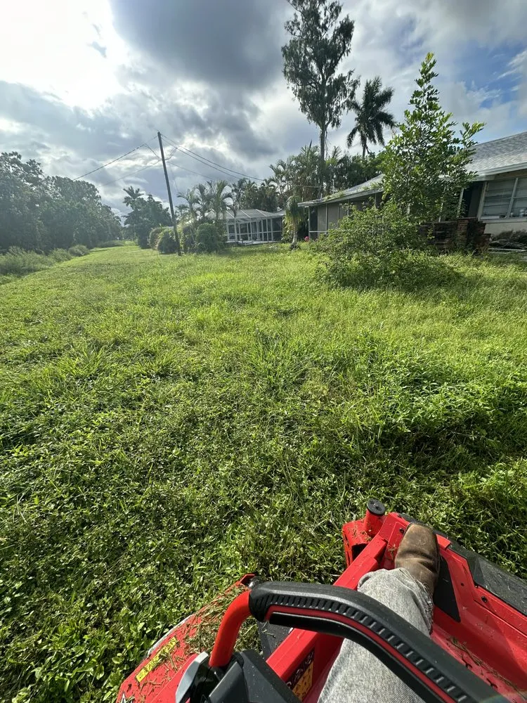 Local yard cleanup service experts serving Fort Myers, FL - Juno Landscaping