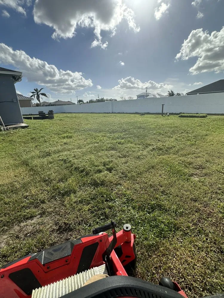 Professional yard maintenance experts serving Fort Myers, FL - Juno Landscaping