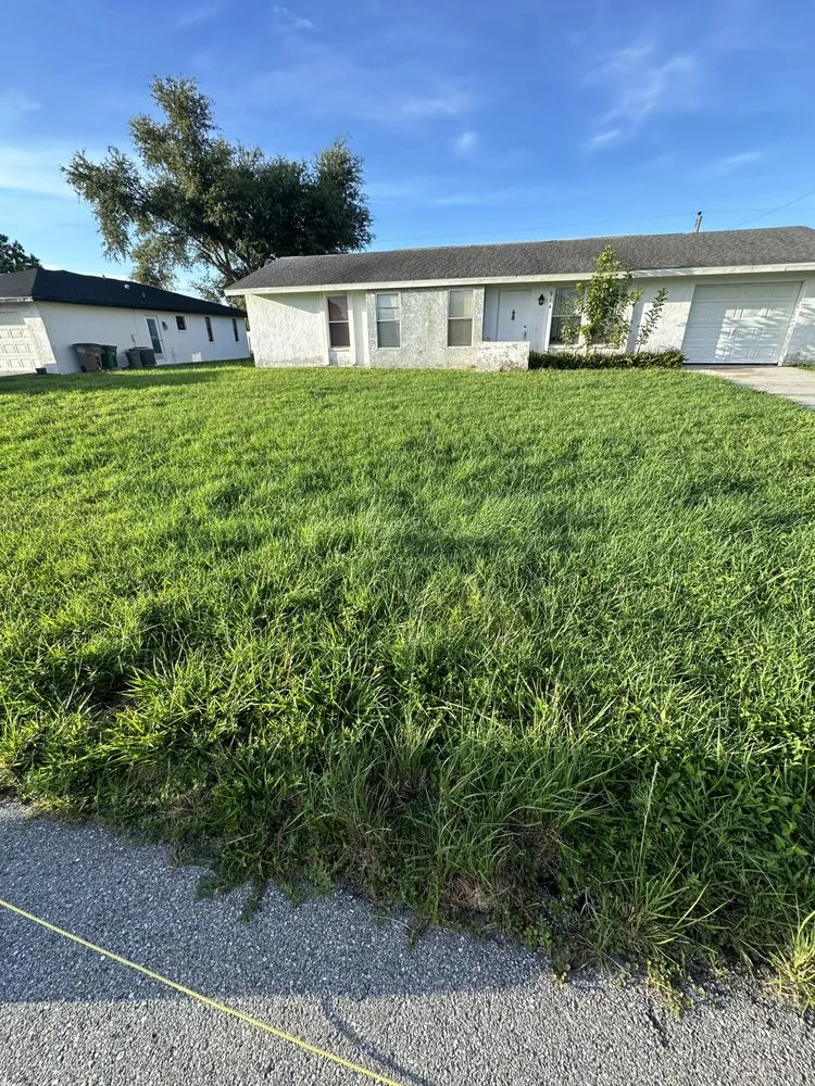 Affordable landscape design experts serving Fort Myers, FL - Juno Landscaping