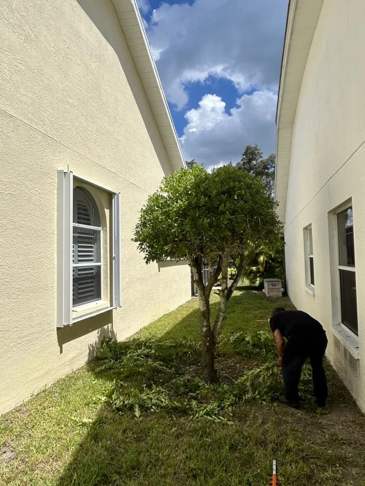 Reliable lawn mowing service for residential properties across Fort Myers, FL - Juno Landscaping