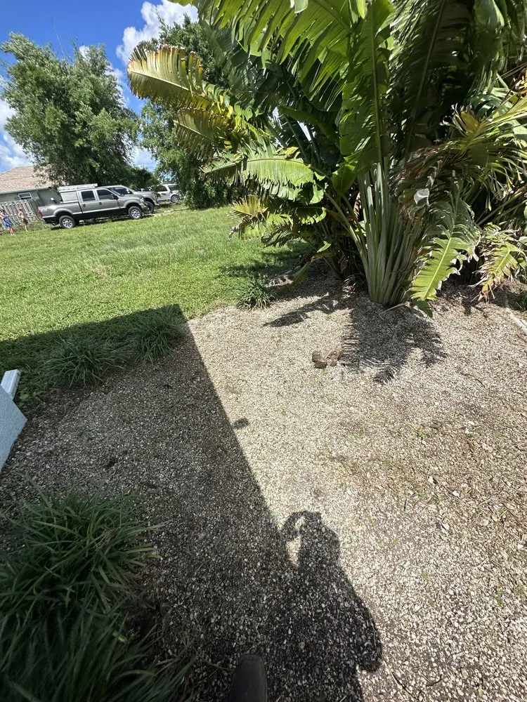 Trusted garden landscaping experts serving Fort Myers, FL - Juno Landscaping