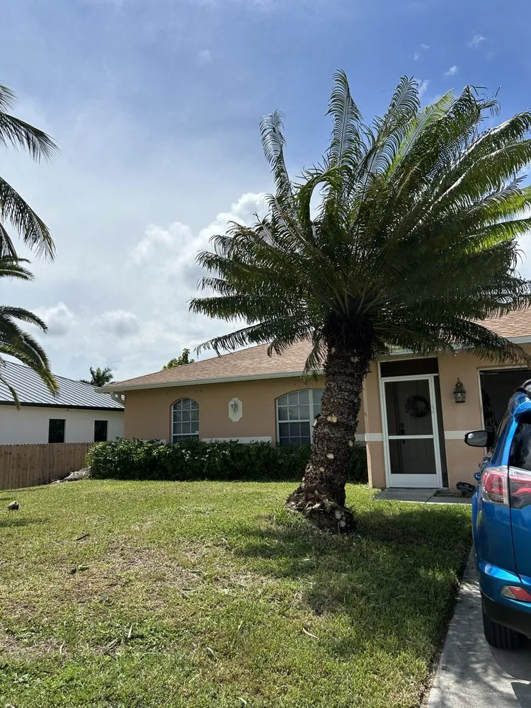 Top-rated yard cleanup service experts serving Fort Myers, FL - Juno Landscaping