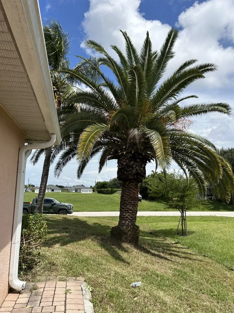 Custom lawn care service in Fort Myers, FL - Juno Landscaping