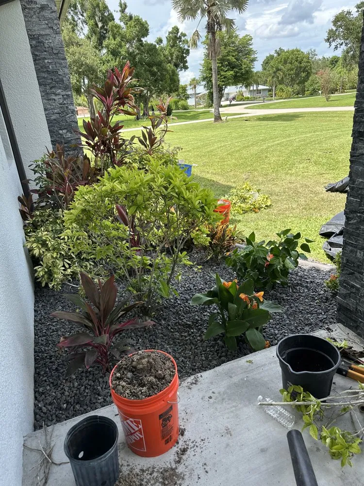 Professional garden landscaping near you in Fort Myers, FL by Juno Landscaping