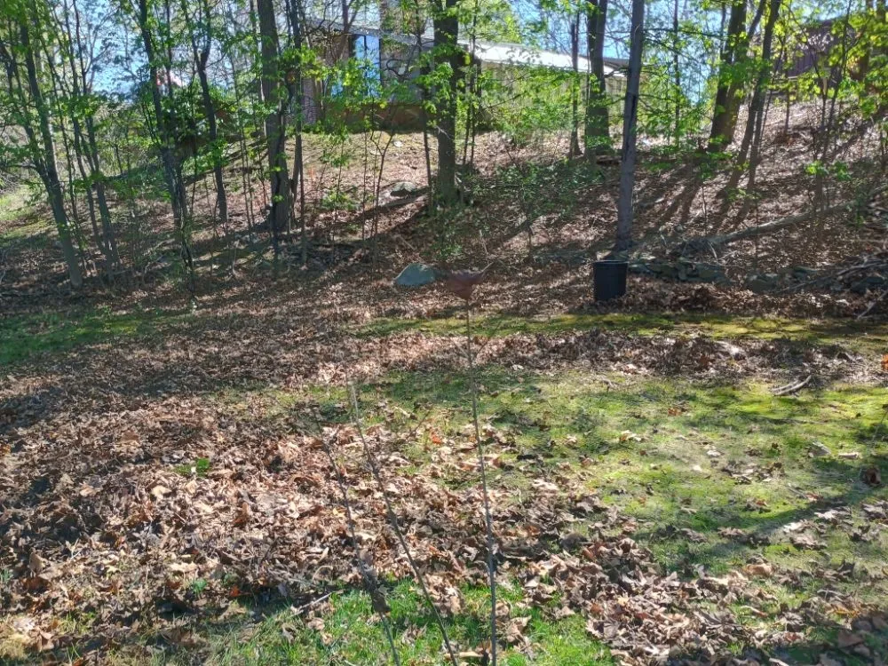 Affordable landscape design in North Billerica, MA - Juno's Landscaping