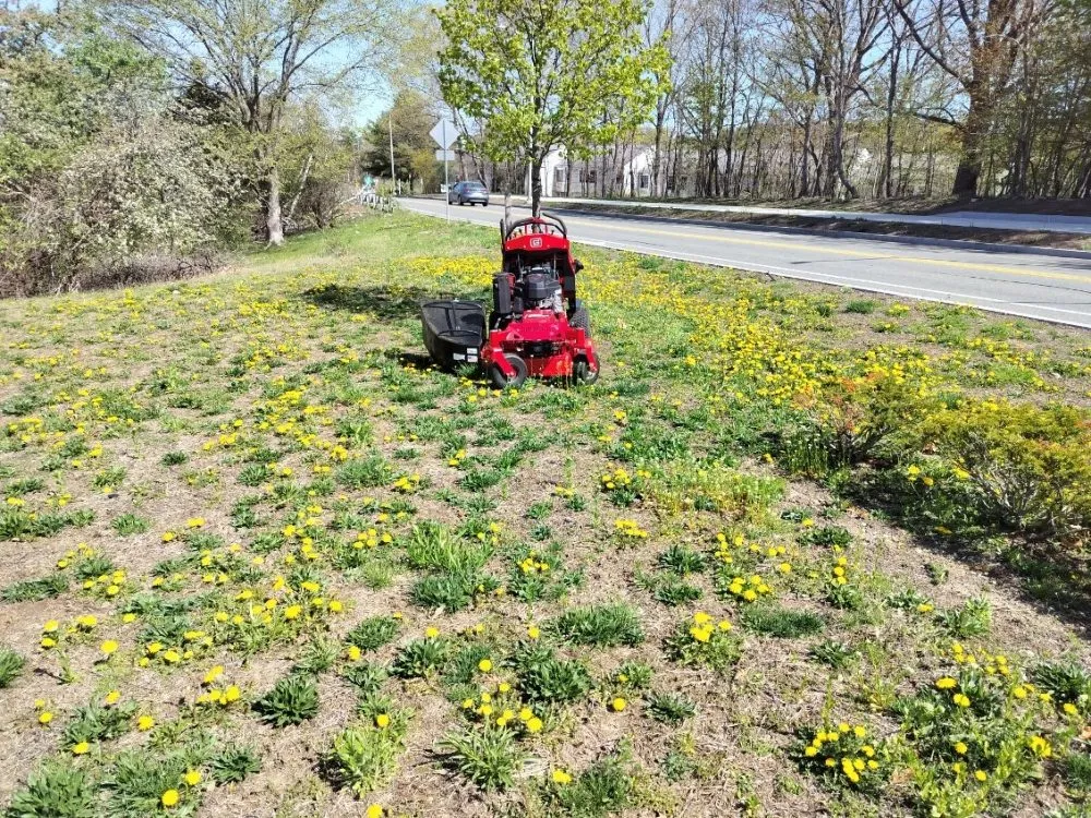 Local yard maintenance in North Billerica, MA by Juno's Landscaping