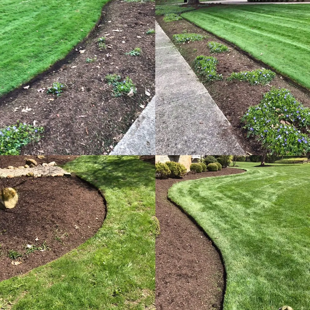 Affordable lawn care service experts serving Cleveland, OH - Junscape Landscaping