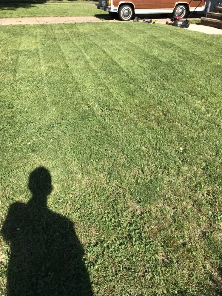 Reliable lawn mowing service experts serving Cleveland, OH - Junscape Landscaping