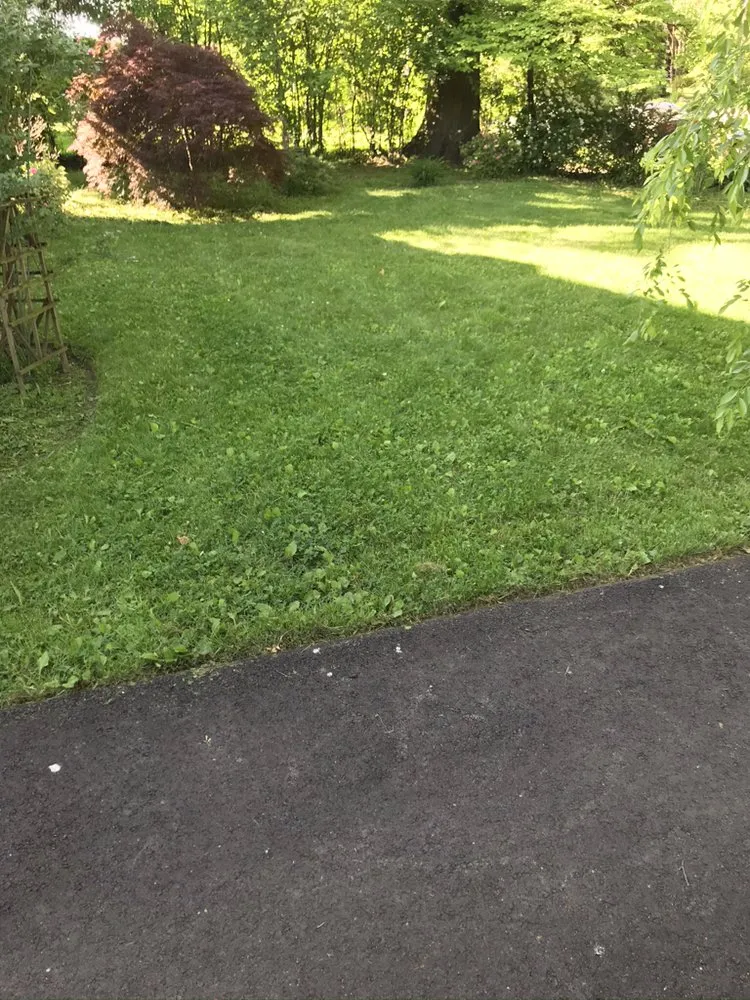 Professional landscape design in Cleveland, OH - Junscape Landscaping