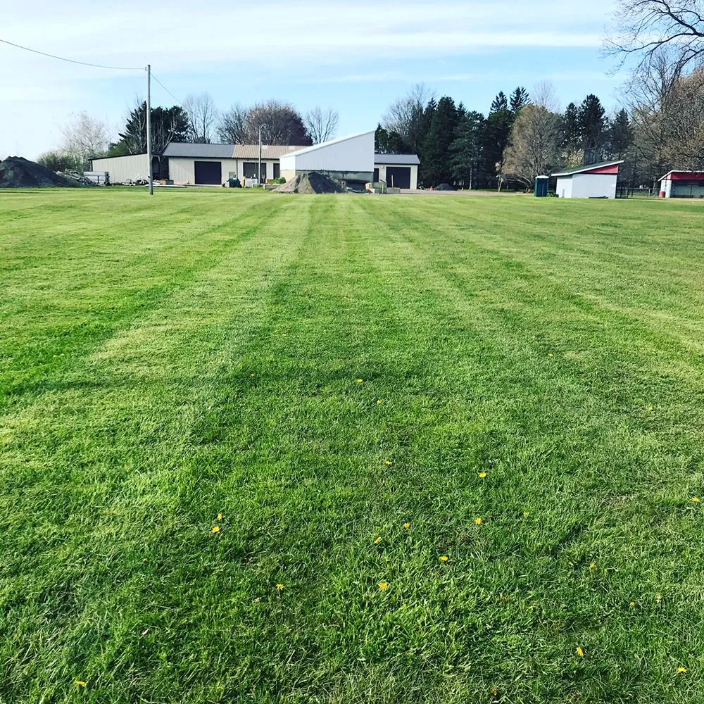 Affordable lawn mowing service in Cleveland, OH - Junscape Landscaping