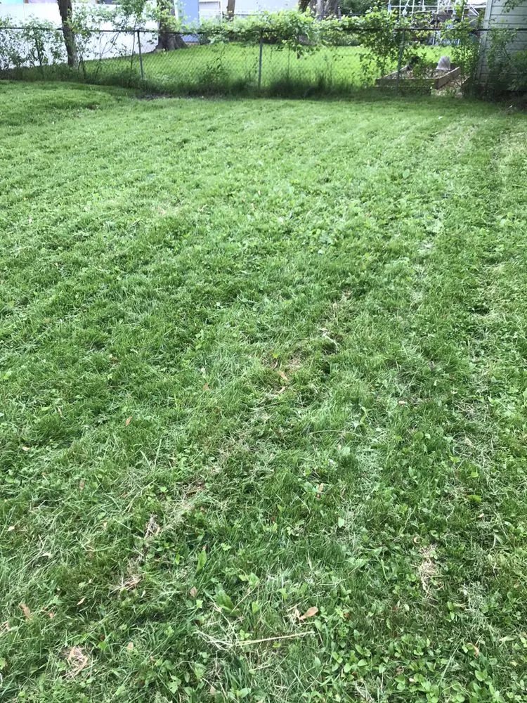 Local landscape installation near you across Cleveland, OH - Junscape Landscaping