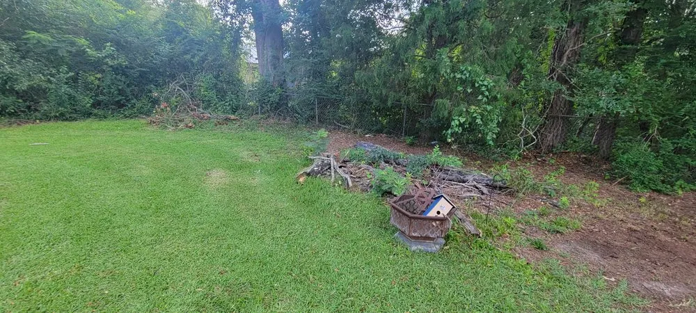 Trusted yard maintenance experts serving Columbus, GA - Jupiter