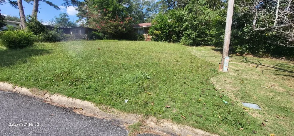 Expert landscaping services experts serving Columbus, GA - Jupiter