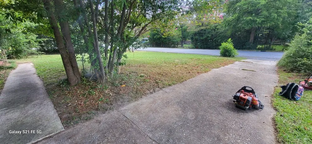 Local lawn care service for homes across Columbus, GA - Jupiter