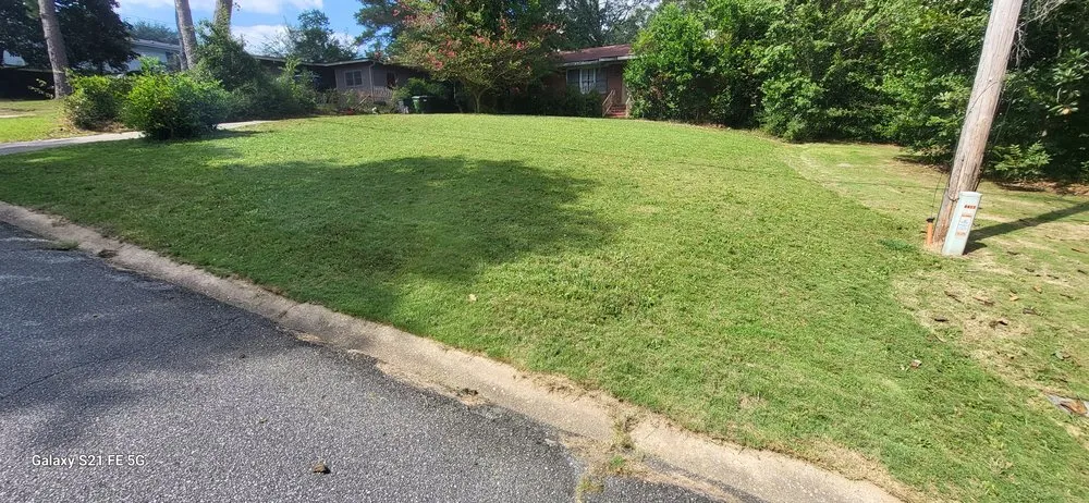 Affordable yard cleanup service for outdoor upgrades across Columbus, GA - Jupiter