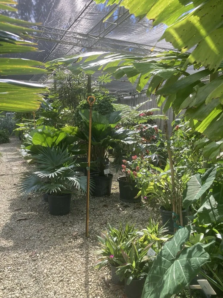 Affordable outdoor landscaping experts serving Jupiter, FL - Jupiter Farms Nursery