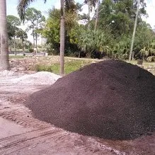 Affordable landscape design for year-round maintenance in Jupiter, FL by Jupiter Farms Nursery