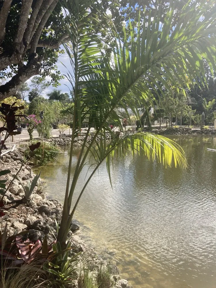 Professional yard cleanup service in Jupiter, FL - Jupiter Farms Nursery