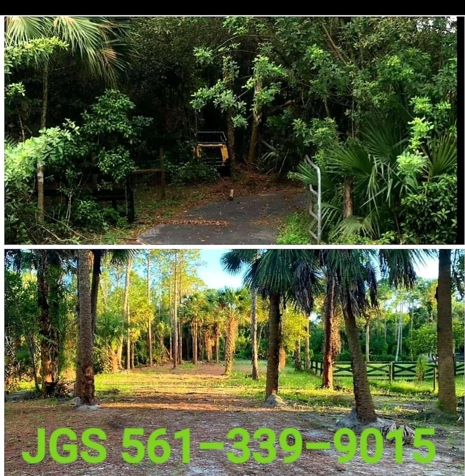 Local landscaping services in Jupiter, FL - Jupiter Ground Service