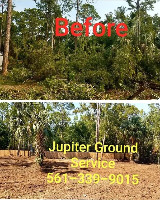Professional lawn mowing service experts serving Jupiter, FL - Jupiter Ground Service