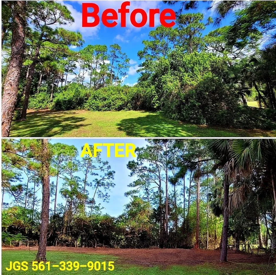 Custom residential landscaping in Jupiter, FL - Jupiter Ground Service