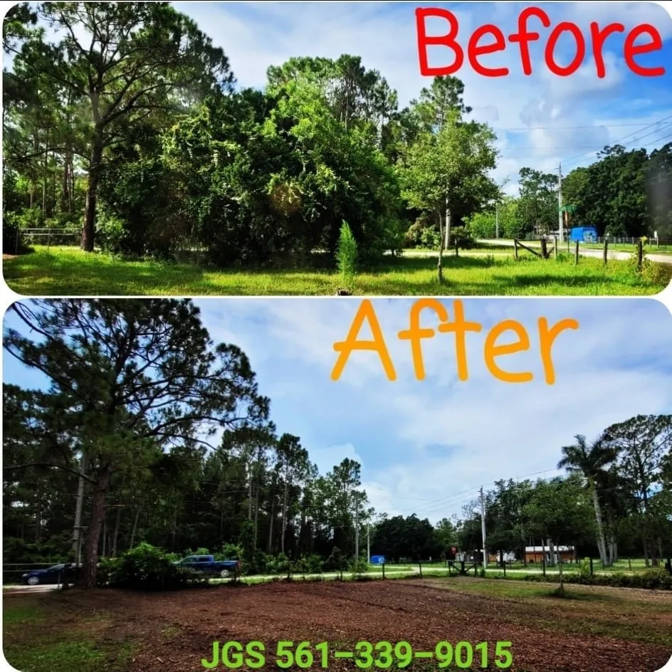 Custom landscaping services experts serving Jupiter, FL - Jupiter Ground Service