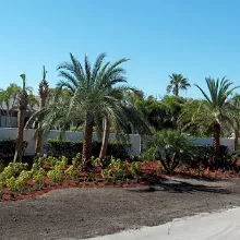 Custom yard maintenance experts serving Jupiter, FL - Jupiter Lawn Care
